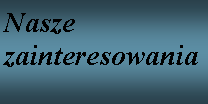 Pole tekstowe: Nasze zainteresowania